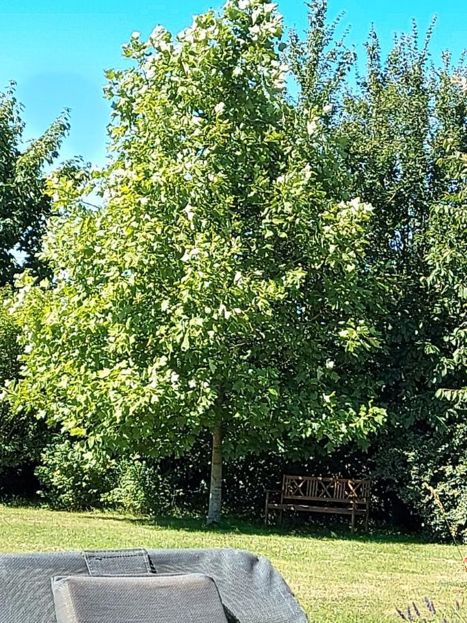 Sept-Freres Gite D'Anne Et Ulysse מראה חיצוני תמונה